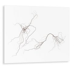 Linien No.30