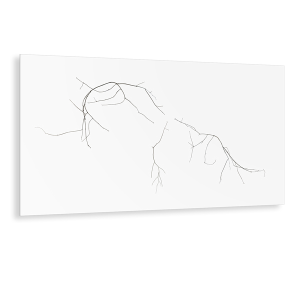 Linien No.38